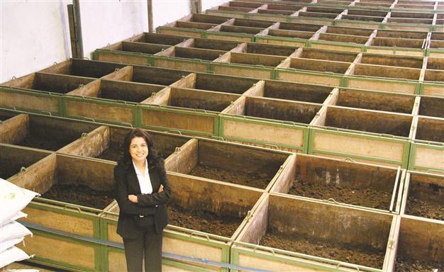 Worm fertilizer maker set to export to Europe