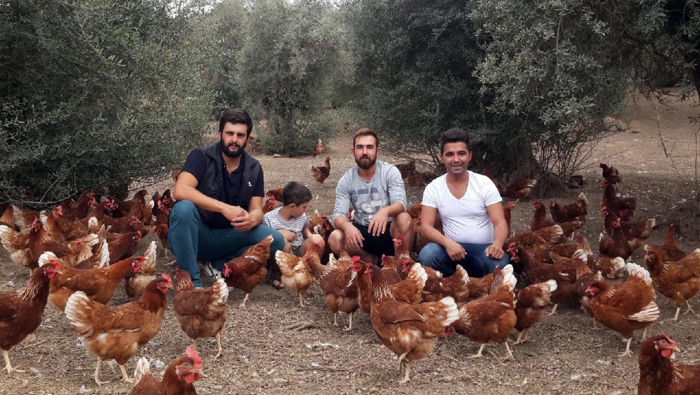 Genç girişimcilerden yumurta çiftliği