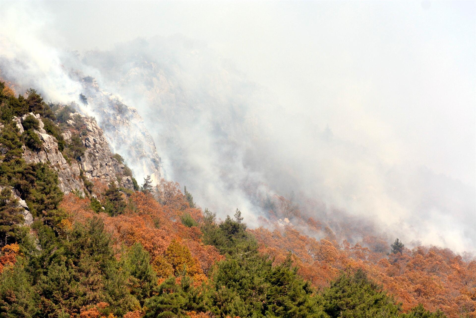 Orman yangını 8 gündür söndürülemedi