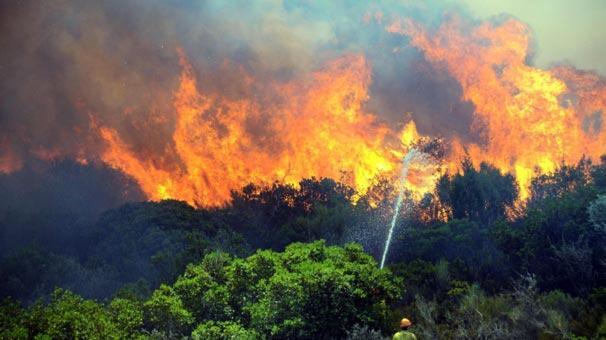 Orman yangınlarıyla mücadelede quot yerli İHA quot dönemi