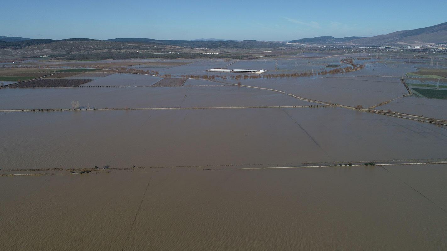 Yağmur ıspanağı vurdu onlarca dönüm tarım arazisi sular altında