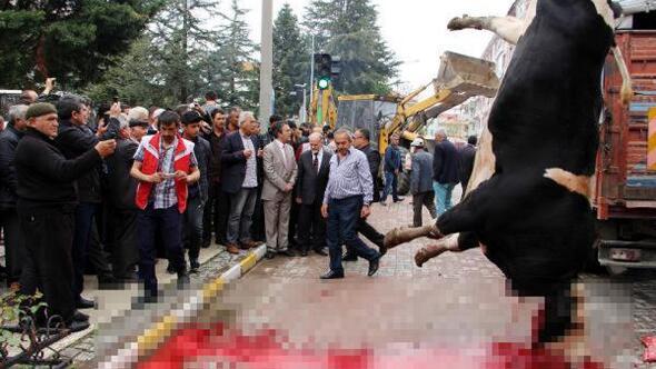 Yol ortasında kurban kesen belediyeye 8 bin lira ceza