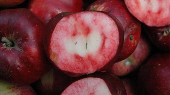 içi ve dışı kırmızı elma ile ilgili görsel sonucu