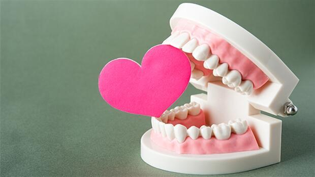 Diş sağlığı kalp sağlığını nasıl etkiliyor? Sağlık Haberleri