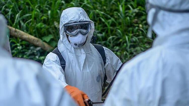 Ebola virÃ¼sÃ¼ nedir? Ebola virÃ¼sÃ¼ belirtileri