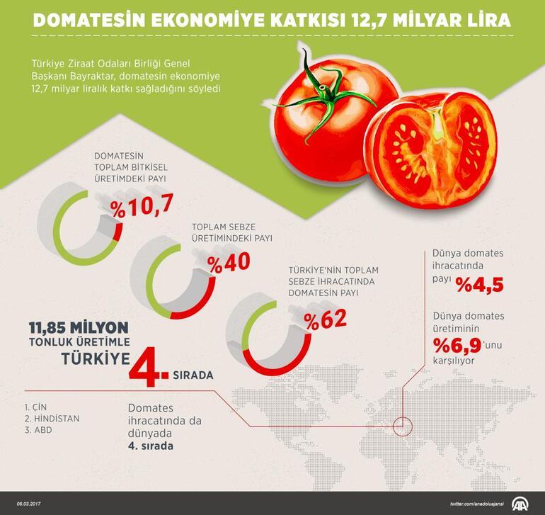 Rusya Türk domatesini neden almıyor İşte 3 maddede cevabı