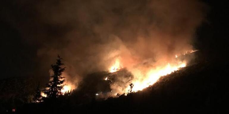 Son dakika... İzmir Karşıyakada orman yangını