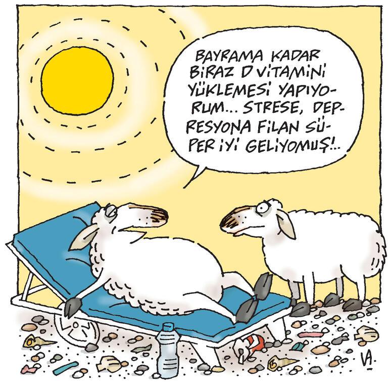 vitamin d karikatür koyun ile ilgili görsel sonucu