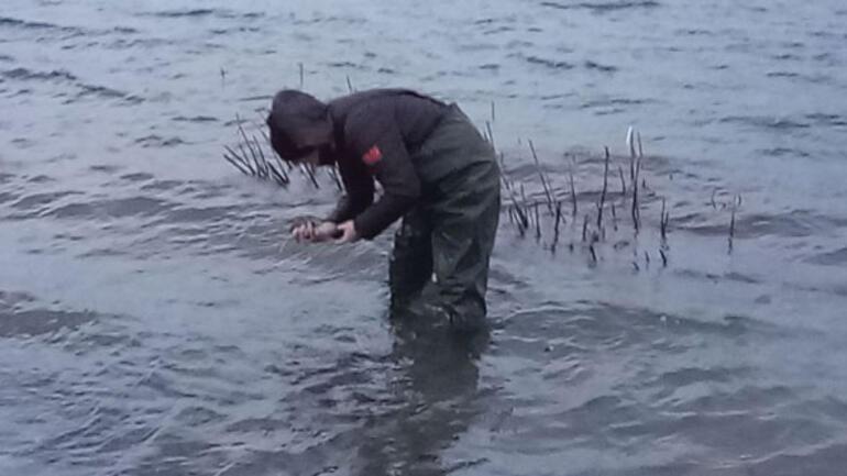Aygır Gölü’nde zebra midye tehlikesi 1 milyon üreyebiliyor…
