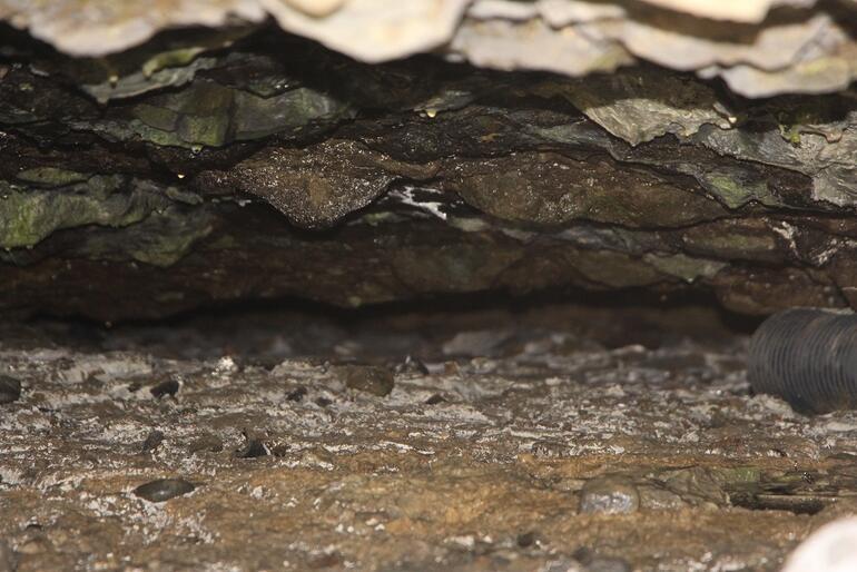 Ayasofya’nın bilinmeyen mağarası ortaya çıktı