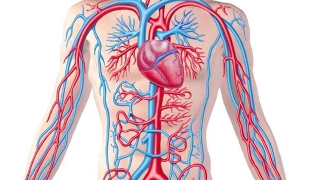 Aort damarı neden yırtılır?