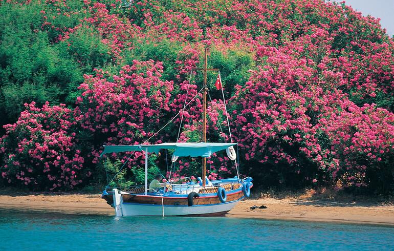 Bir ucu göl, bir ucu deniz: Dalyan