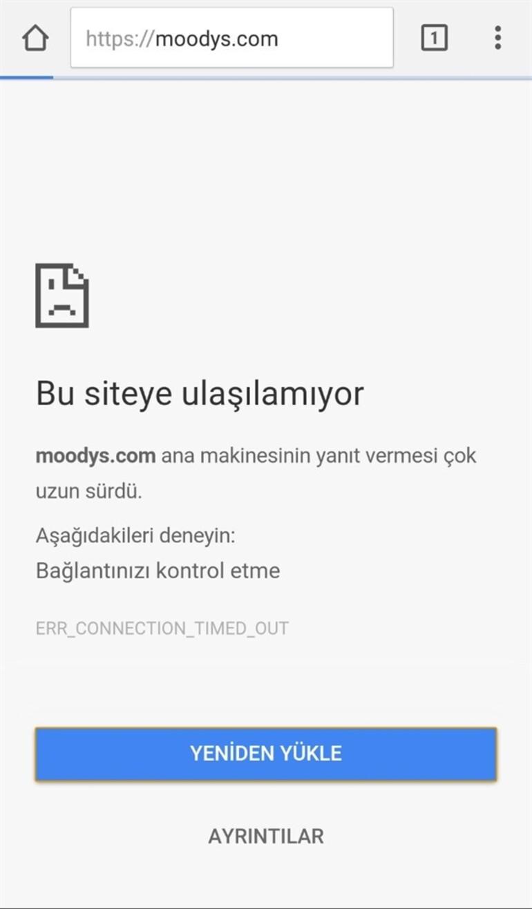 Türk Hackerlar, Türkiye’nin kredi notunu düşüren Moody's’i hedef aldı