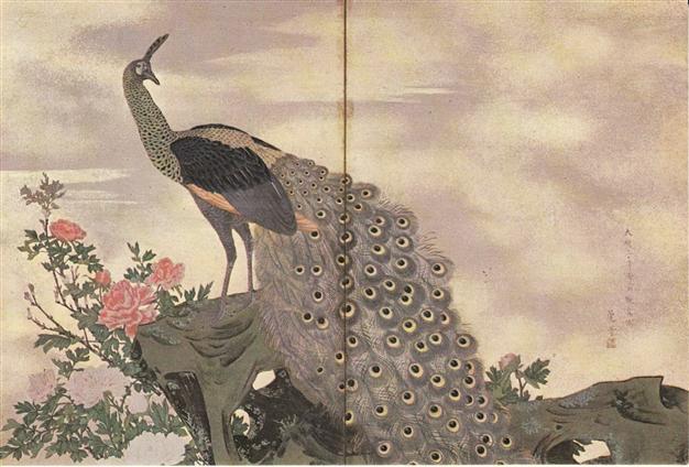 The peacock: A symbol of royalty