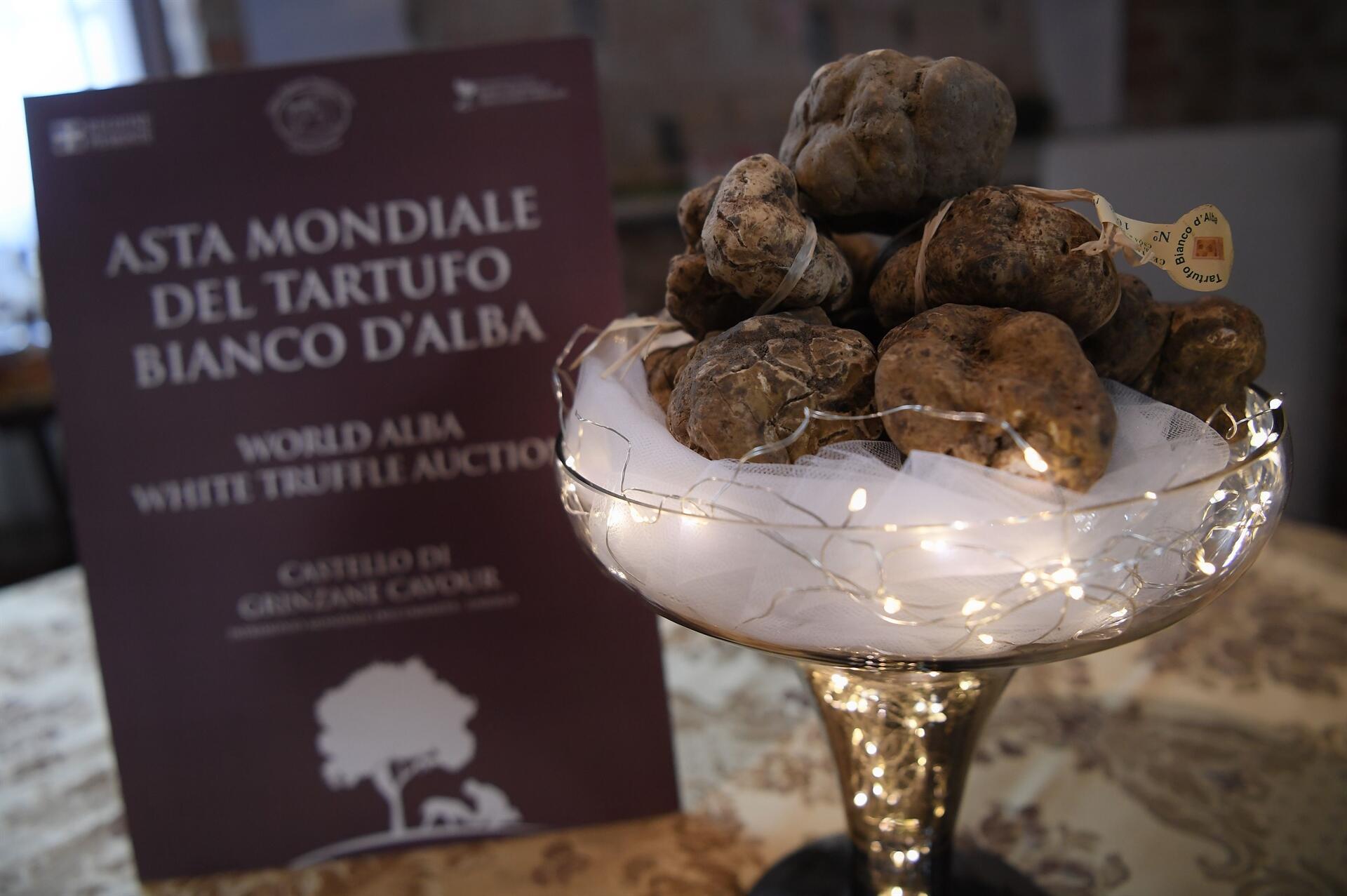 Italy S White Truffles Feel The Heat At Alba Auction