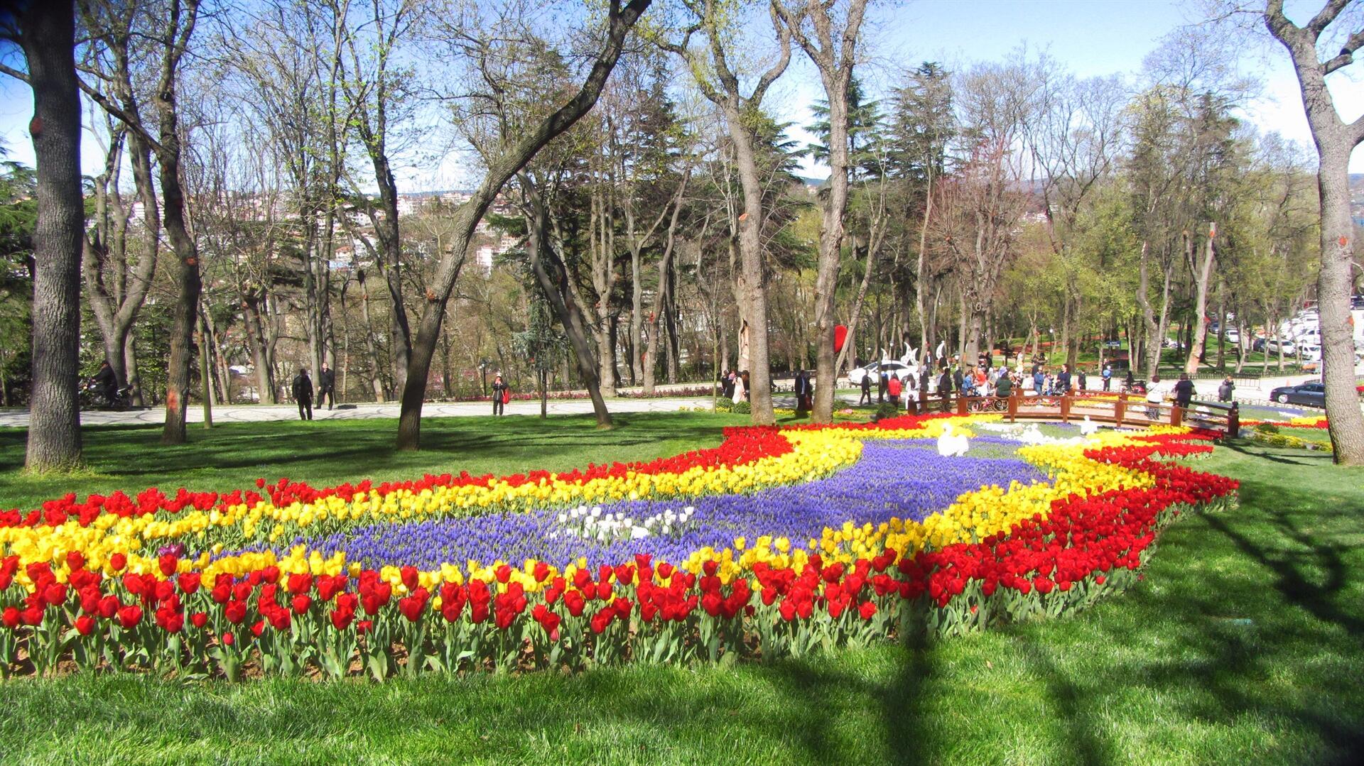 Tulip Festival kicks off in Istanbul