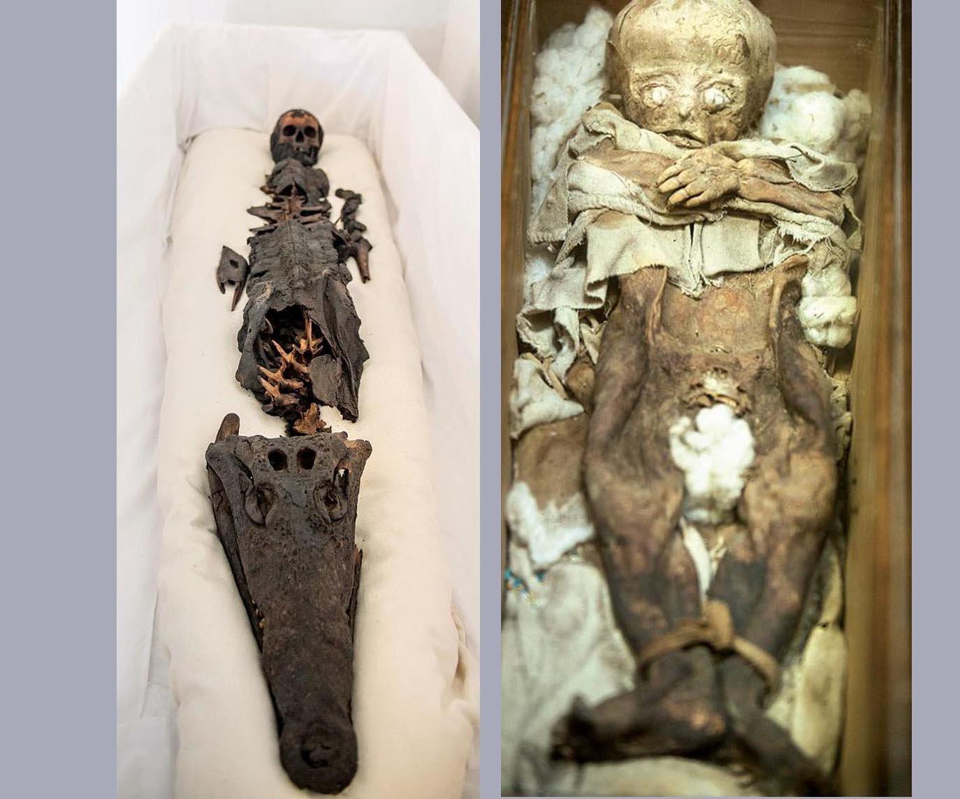 The two-headed mummy that stirred panic in Ottoman palace