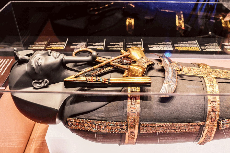 Tutankhamun The Treasures Of The Tomb Arte Y Fotografía Historia