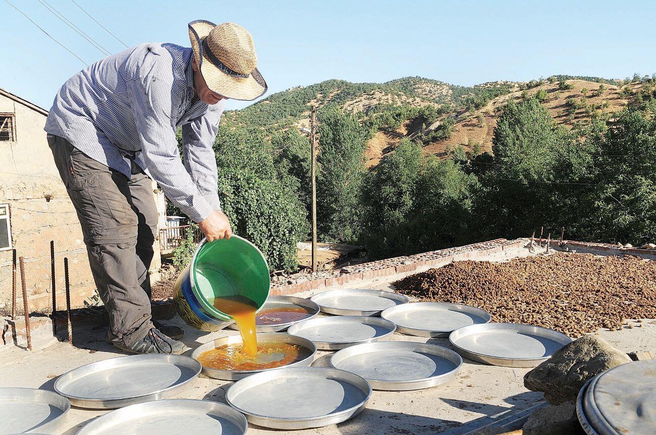 Mulberry molasses from the tree to the kitchen Türkiye News