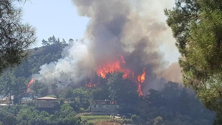 Forest Fires In Bodrum Manavgat Contained Turkey News