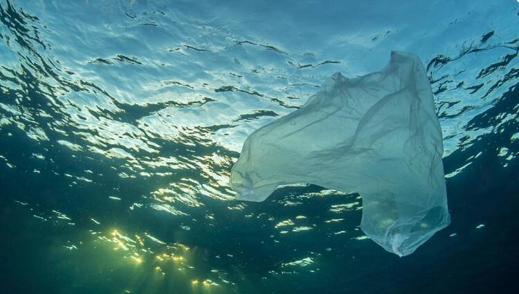 Plastic waste level in seas increases as Turkish waters at risk - Turkey  News
