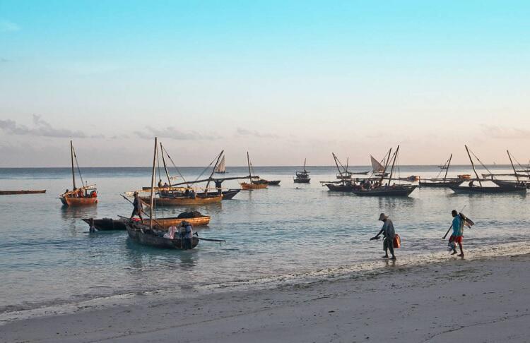Zanzibar secures $3 bln from Turkish firm to boost fishing