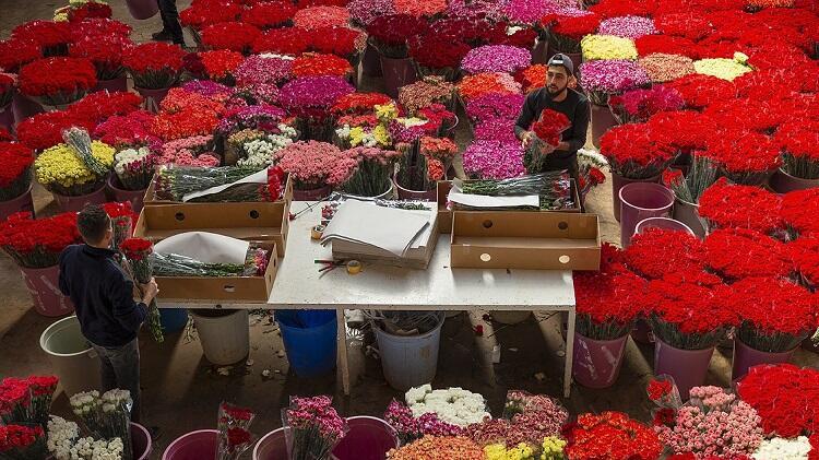 Turkey Exports Flowers To 83 Countries In 2020 Latest News