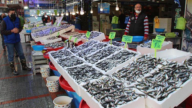 Overfishing leads to scarcity of bonito in fish markets