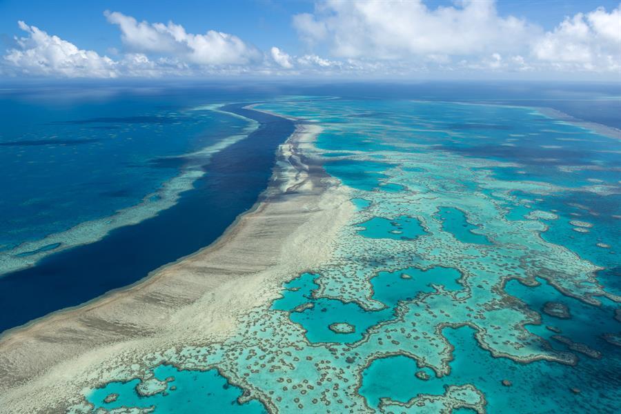 Australia pumps cash into Great Barrier Reef