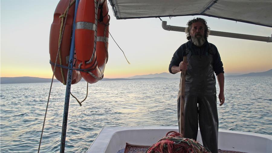WWF, Türk esnaf balıkçılığı üzerine bir belgesel çekti