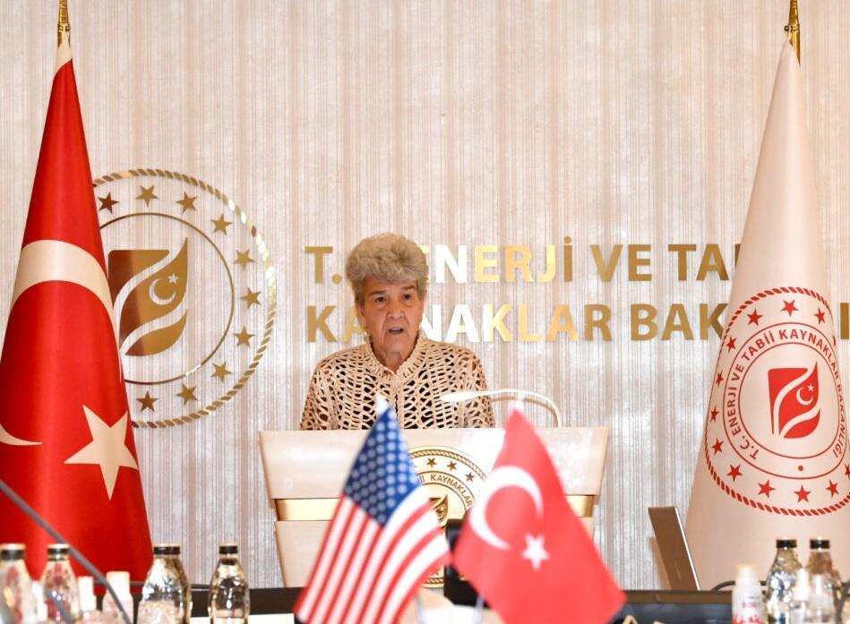 ABD'li bir yetkili, ABD'li şirketlerin Türkiye'yi bölgesel bir merkez olarak gördüğünü söyledi