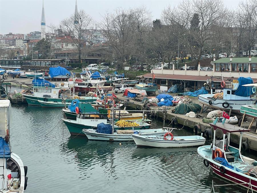 Türkiye’de balıkçılık sezonu sona eriyor – Türkiye Haberleri