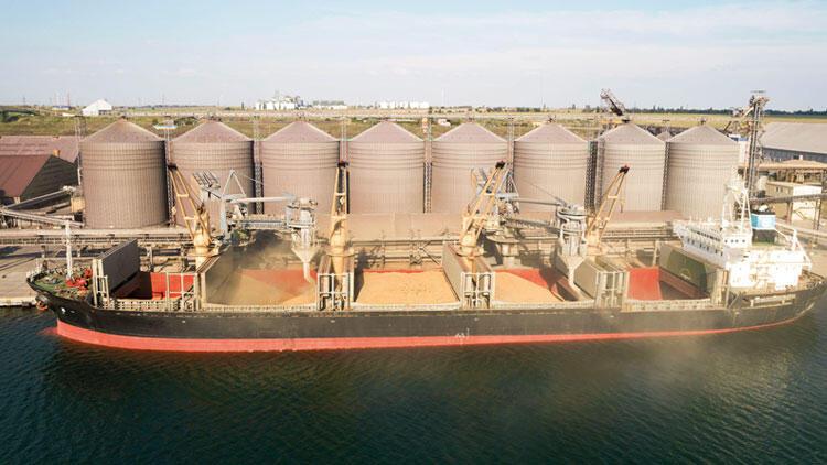 Turkish Grain Board stocks 6 million tons of grain