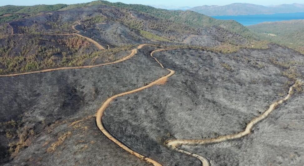 4,500 acres[4,500 ha]of land was burned by the Marmaris wildfire.