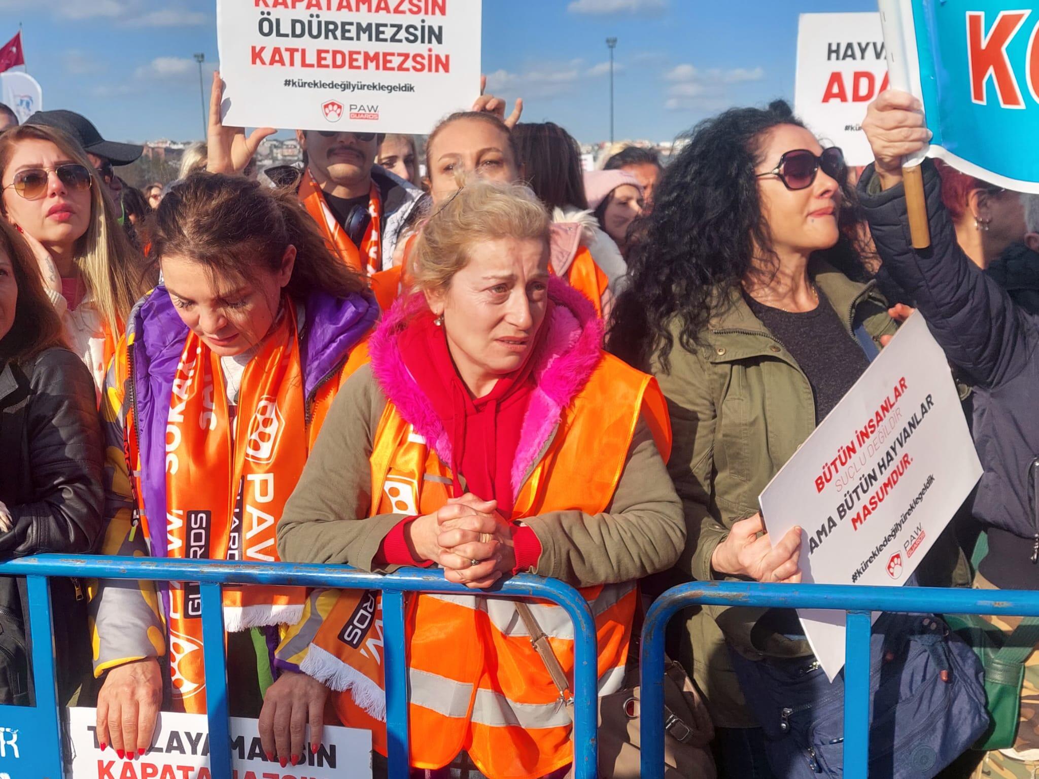 Animal rights activists hold rally in Istanbul - Türkiye News