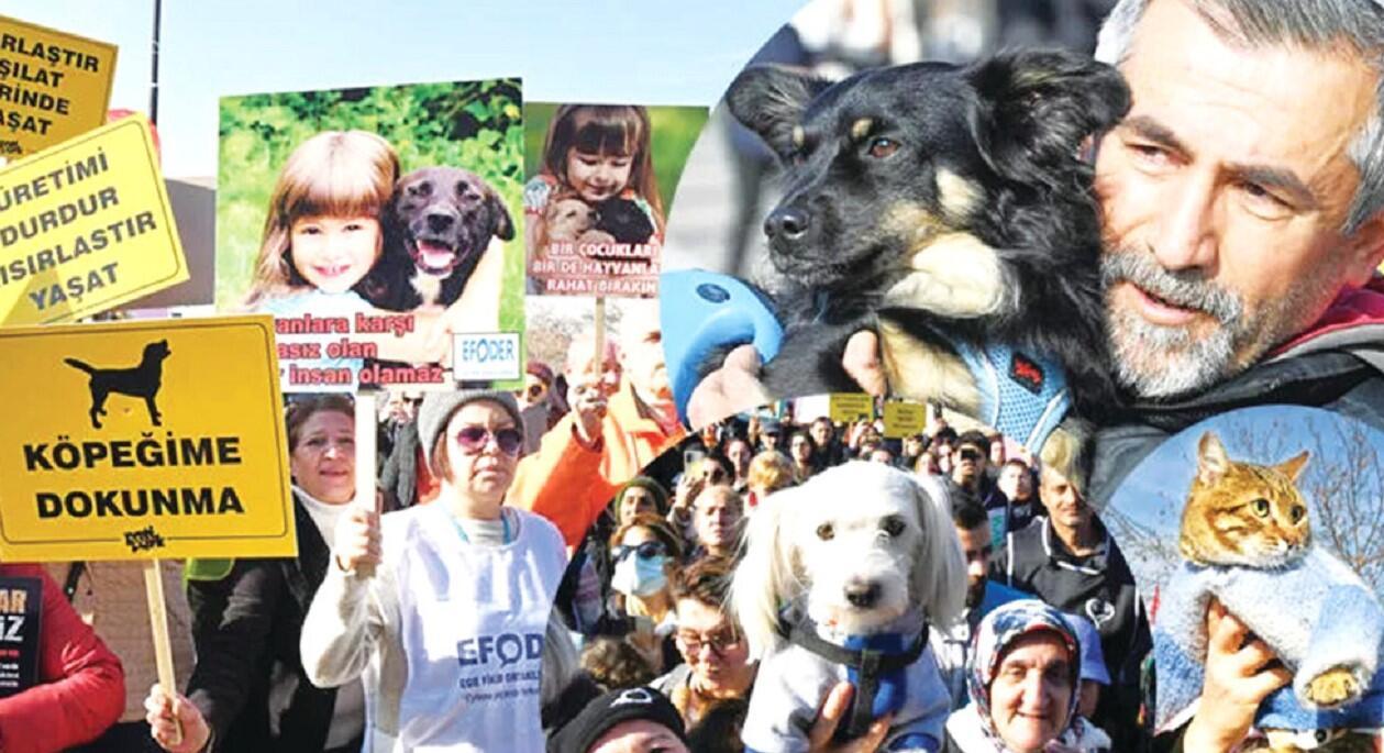 Animal rights activists hold rally in Ankara - Türkiye News