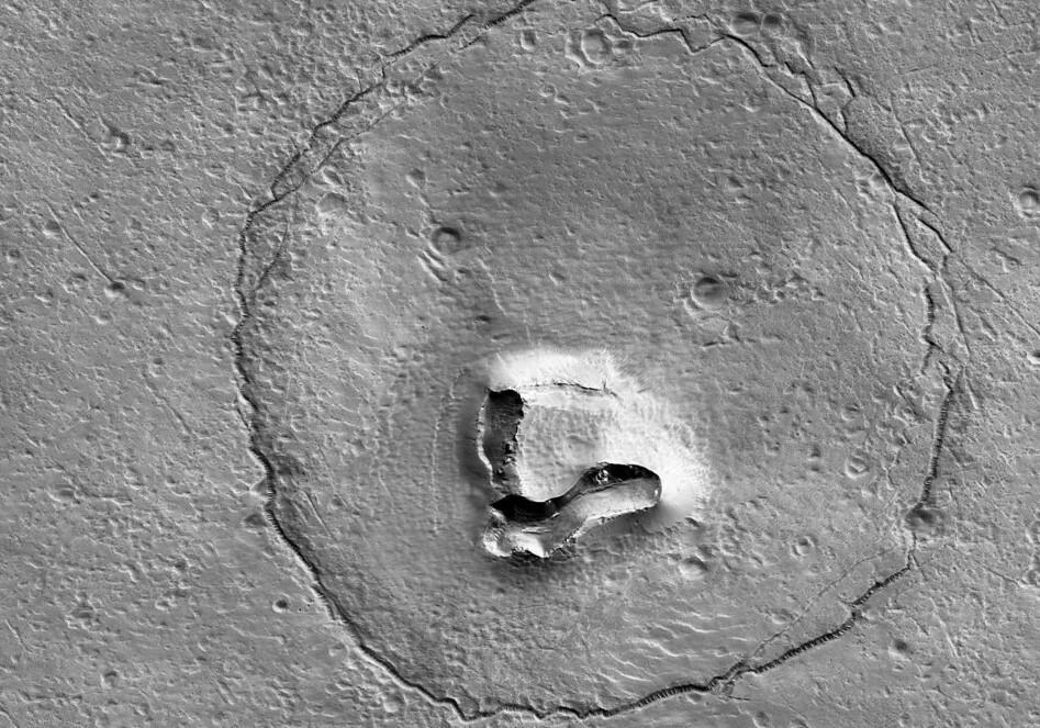 प्यारा सा दिखने वाला टेडी बियर मंगल ग्रह पर दिखा