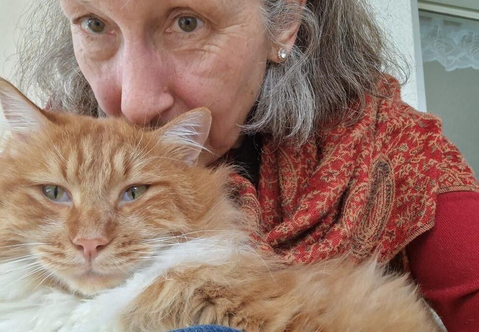 Swiss diplomat finds her cat many due to pet monitoring course of