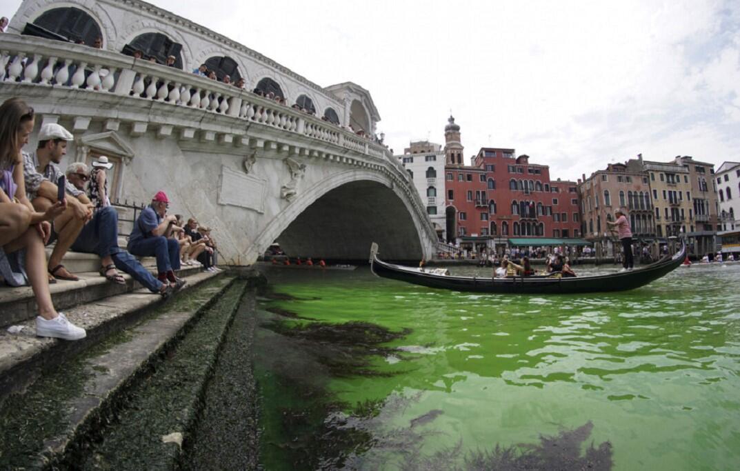 Venice’s Grand Canal turns bright green