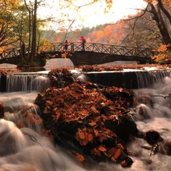 Autumn Scenes From Turkey