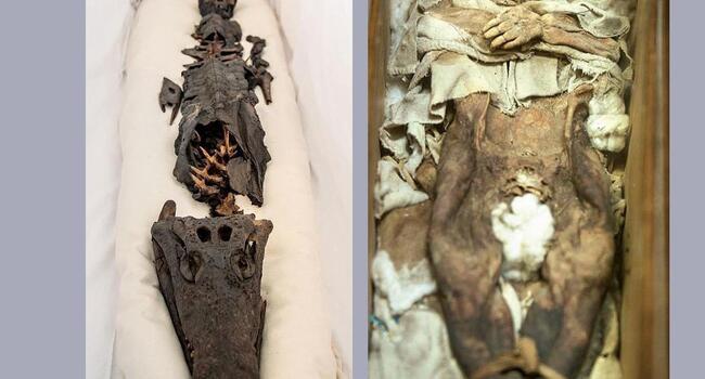 The two-headed mummy that stirred panic in Ottoman palace