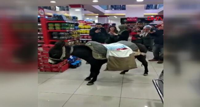 Protesting plastic bag charge, Turks shop with donkey, wheelbarrow