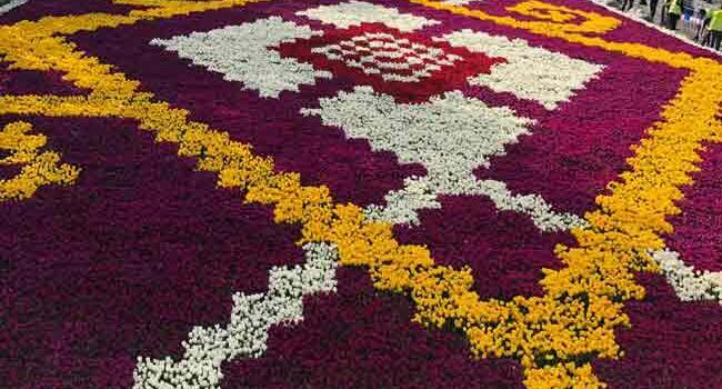 Live tulip carpet installed in Istanbul’s Sultanahmet Square