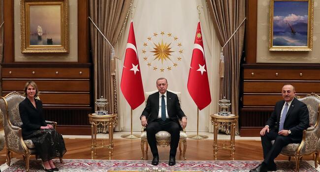 Erdoğan meets with European, US diplomats