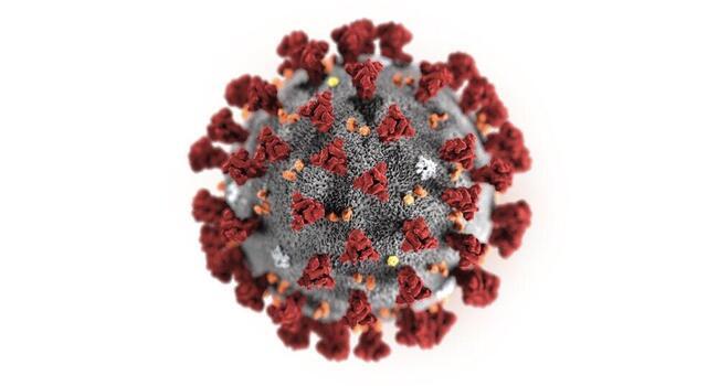 How it spreads, infects: Coronavirus impact comes into focus