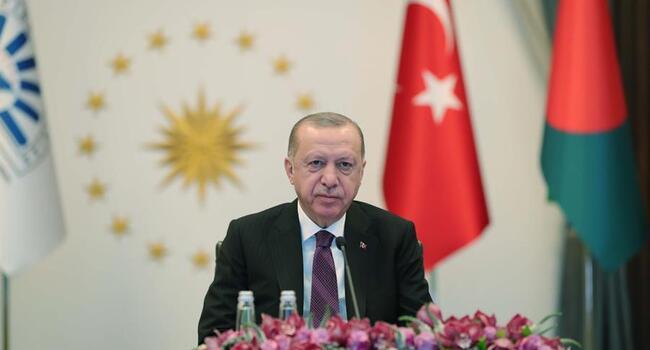 Erdoğan urges D-8 to trade in local currencies