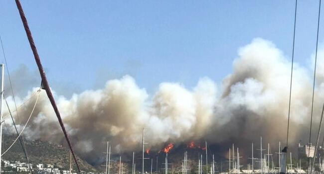Tourists in Bodrum evacuated by boat amid fires