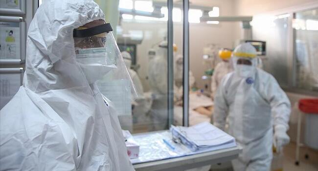 Turkey reports 63,967 new coronavirus cases, 177 more deaths
