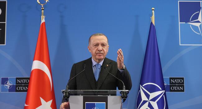 Erdoğan says he will suggest Putin to find honorable exit from Ukraine