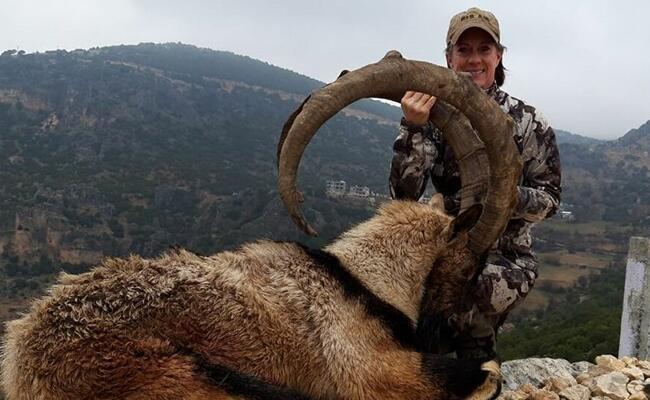 List of wild animals to be hunted for tourism released - Türkiye News